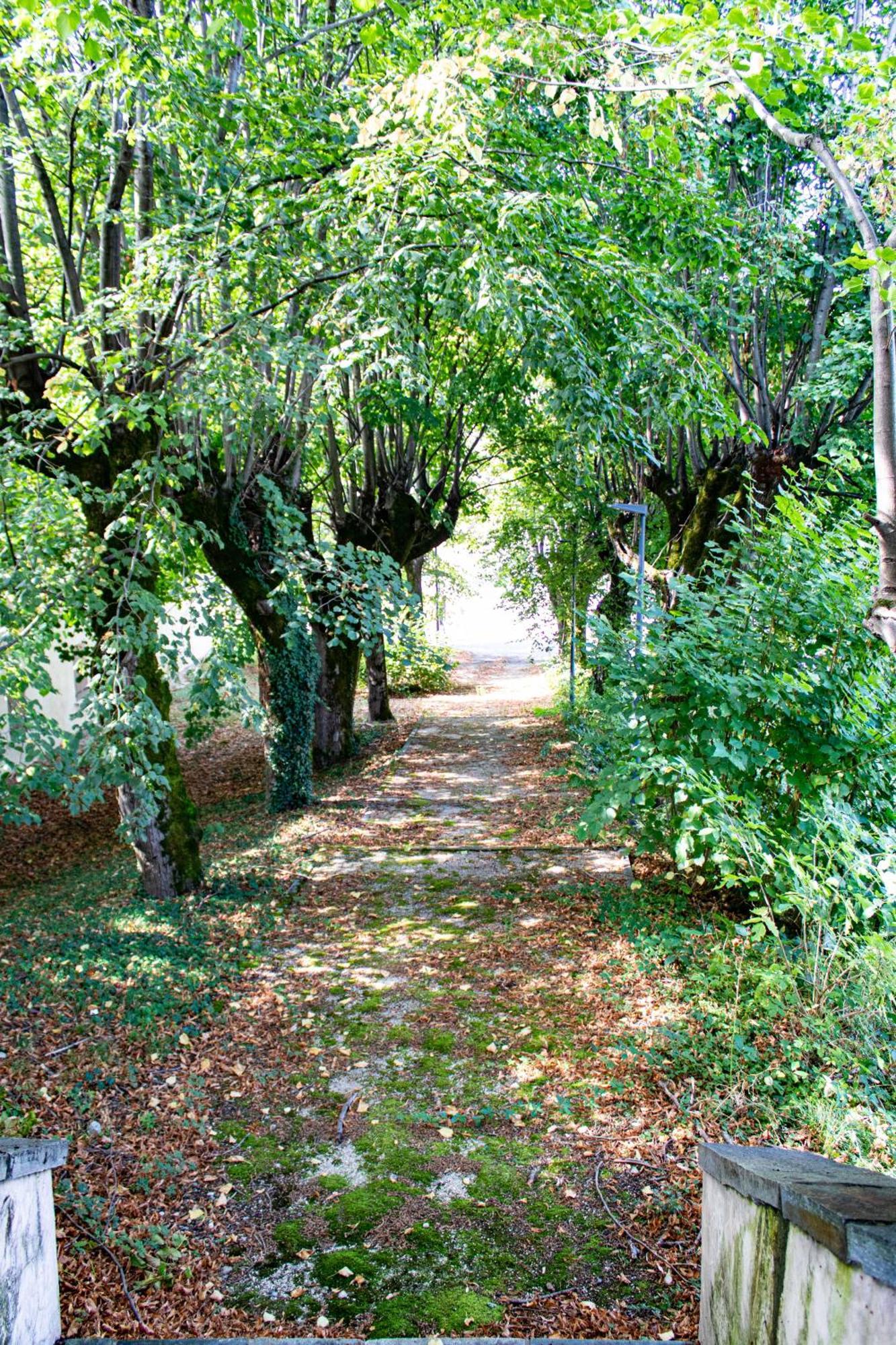 Tempologis - Chateau De La Rochette Fontaine  Bagian luar foto